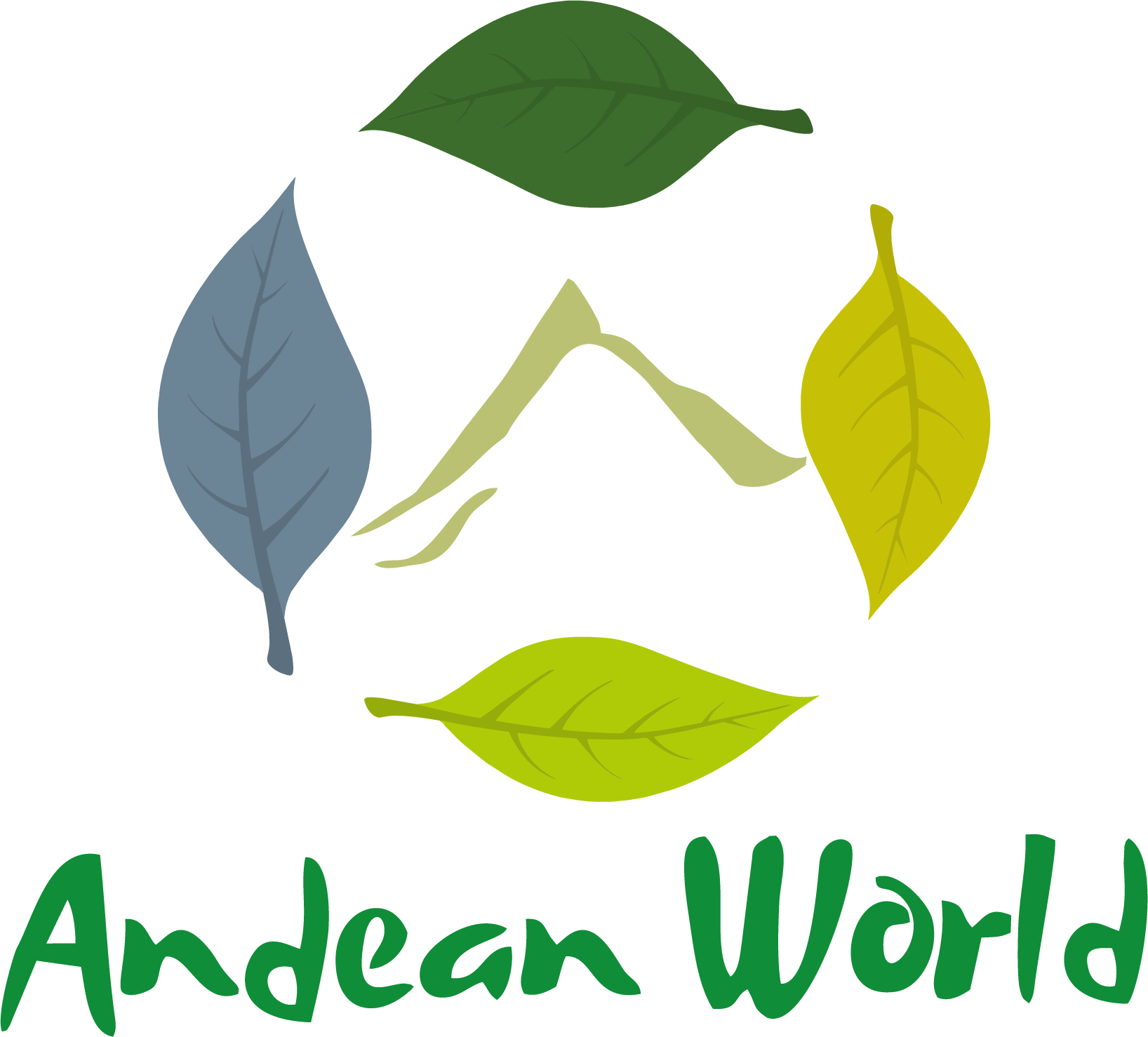 Online Shop - Andean World