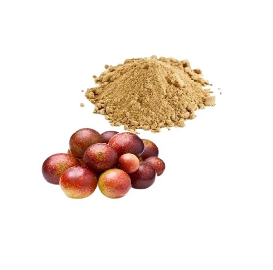Camu Camu Powder -Buy Superfood with high content in vitamin C.