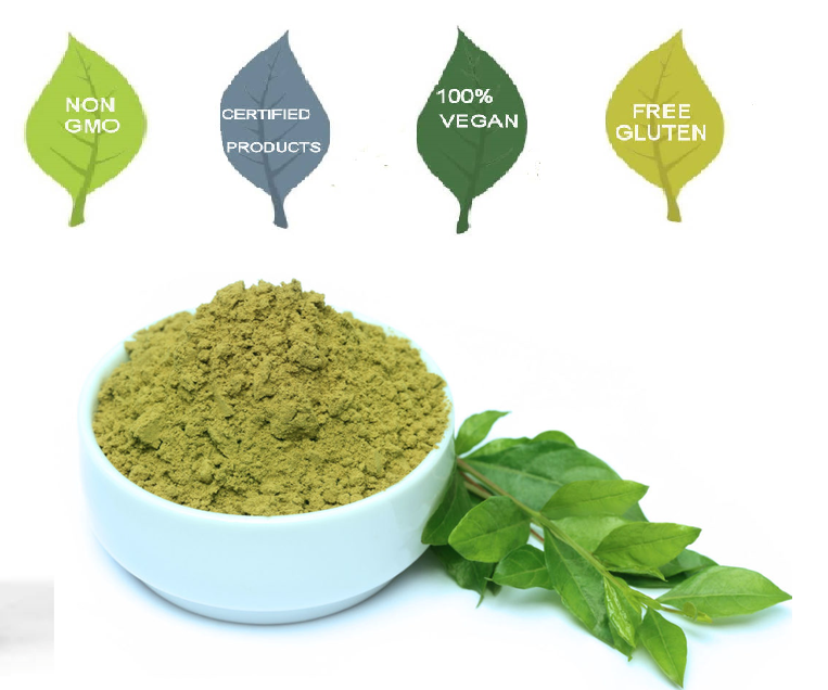 OFFER 2 UNITS - Energy Green Leaves Capsules (120x 500mg) - Image 2