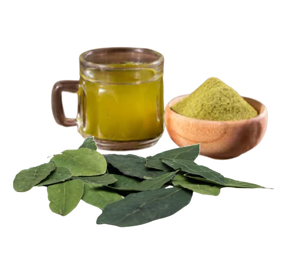 Buy Powder of Green Leaf Erythroxylum (coca) 100% Natural - Andean World