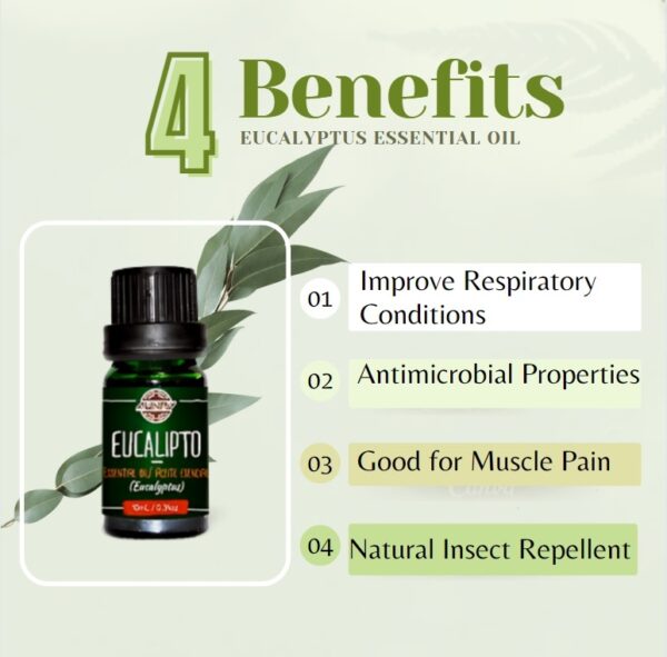 Benefits of Peruvian Eucalyptus Essential Oil