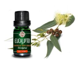 Eucalyptus Essential Oil (10 ml – 0.34)