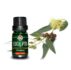Eucalyptus Essential Oil (10 ml – 0.34)
