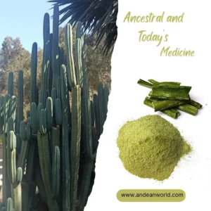San Pedro Powder: Secure Shipping to Europe