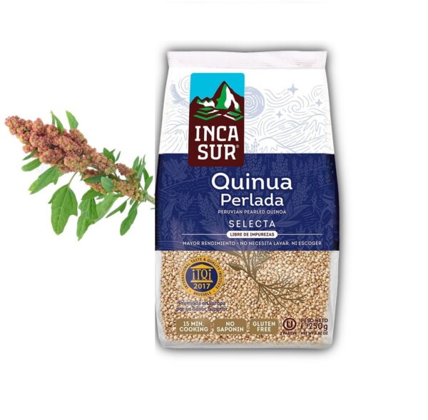 Quinoa Grains - high nutritional value