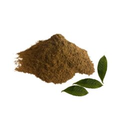 Chacruna Leaves Powder (220 g – 7.76 oz)