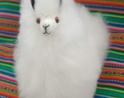 Alpaca fur toy- Handmade – Andean Gift