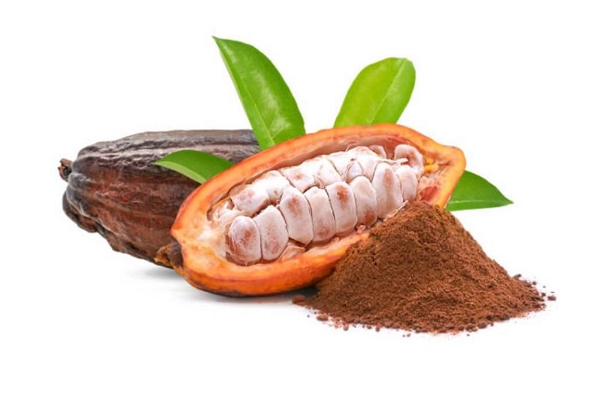 Cacao powder for your breakfast