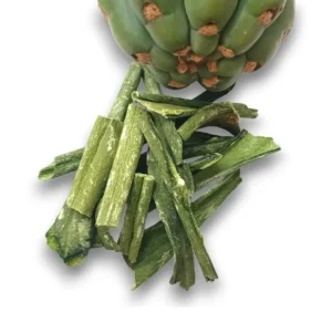 San Pedro cactus dried skin- catusChips
