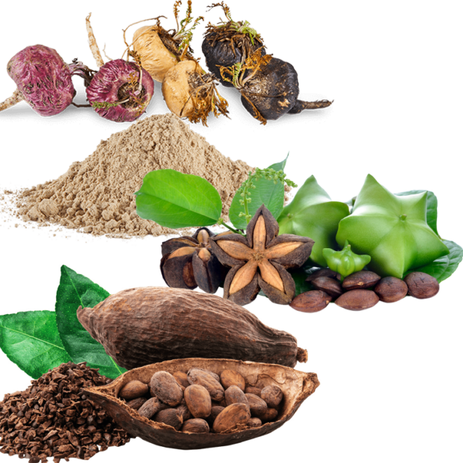 Products Naturals